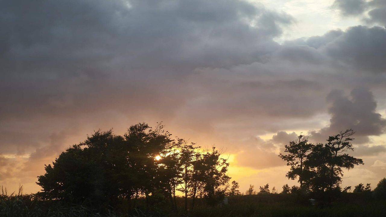 Ferienhaus für 6 Personen (80 m²) in Skærbæk in Skærbæk, Tondern und Umgebung