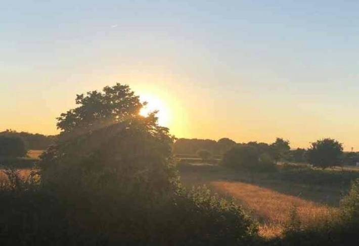 Holiday rental for 2 people, with garden and terrace in Somerset