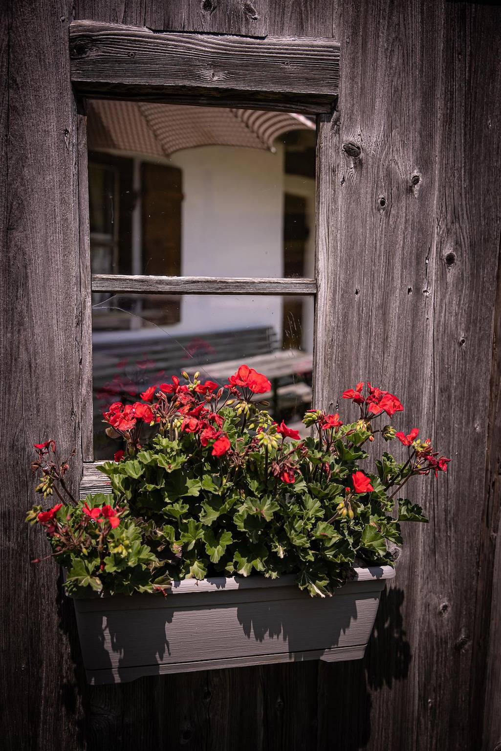 Ganze Ferienwohnung, Schweizer Hütte, 3 Schlafräume, Du/Wc in Walchsee, Kaisergebirge