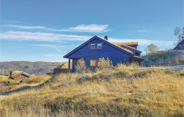 Ferienhaus für 10 Personen, mit Terrasse und Whirlpool sowie Sauna in Åseral