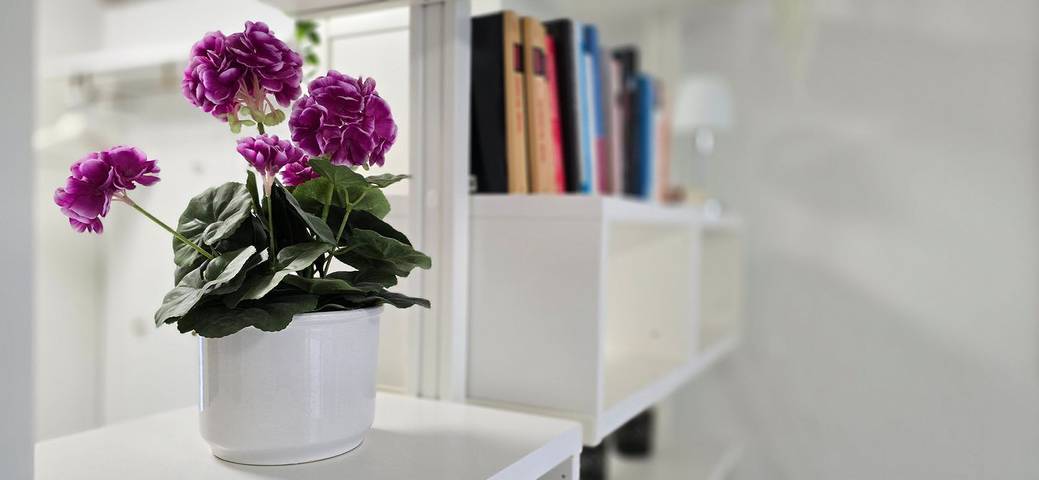 Ferienwohnung für 4 Personen, mit Terrasse, mit Haustier in Gelbensande - 4