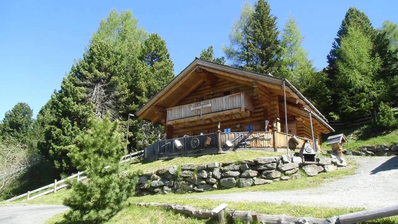 Ferienhaus für 9 Personen (90 m²) in Falkertsee in Reichenau (Österreich), Nockberge