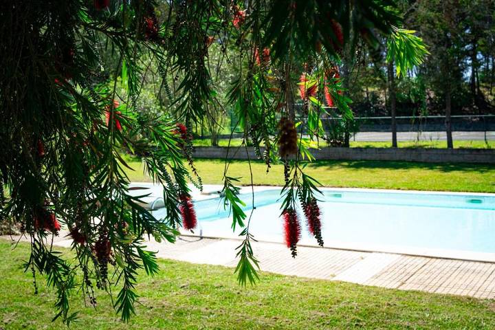 Gîte pour 2 personnes, avec bassin pour enfant ainsi que piscine et jardin dans Serra De El Rei - 2