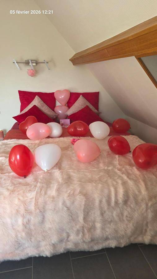 Gîte pour 4 personnes, avec vue et terrasse, animaux acceptés à Bennwihr - 3