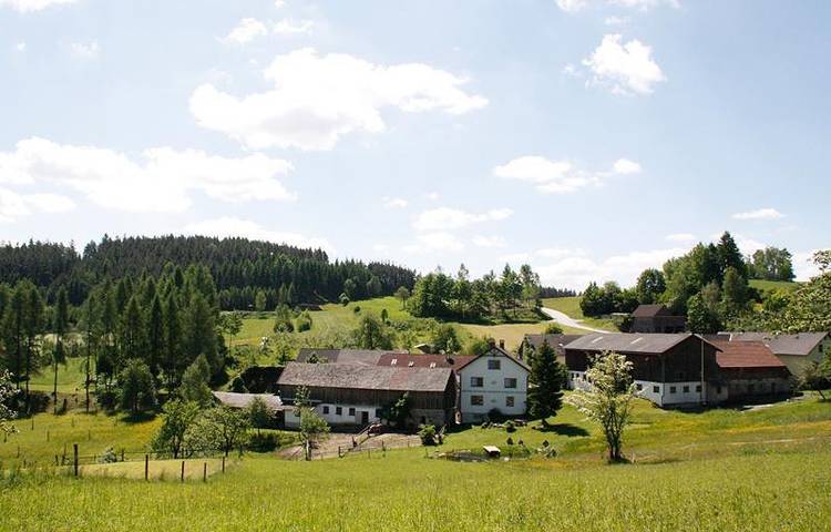 Bauernhaus für 4 Personen, mit Garten, mit Haustier - 1