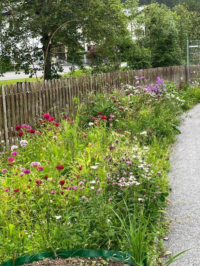 Gîte pour 4 personnes, avec terrasse, animaux acceptés dans Partenen - 2