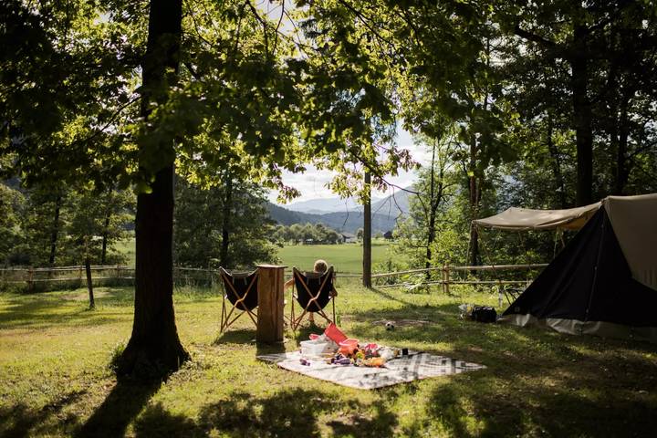 Ganze Wohnung, Holzhütte Waldbett 3 Personen in Untersteiermark
