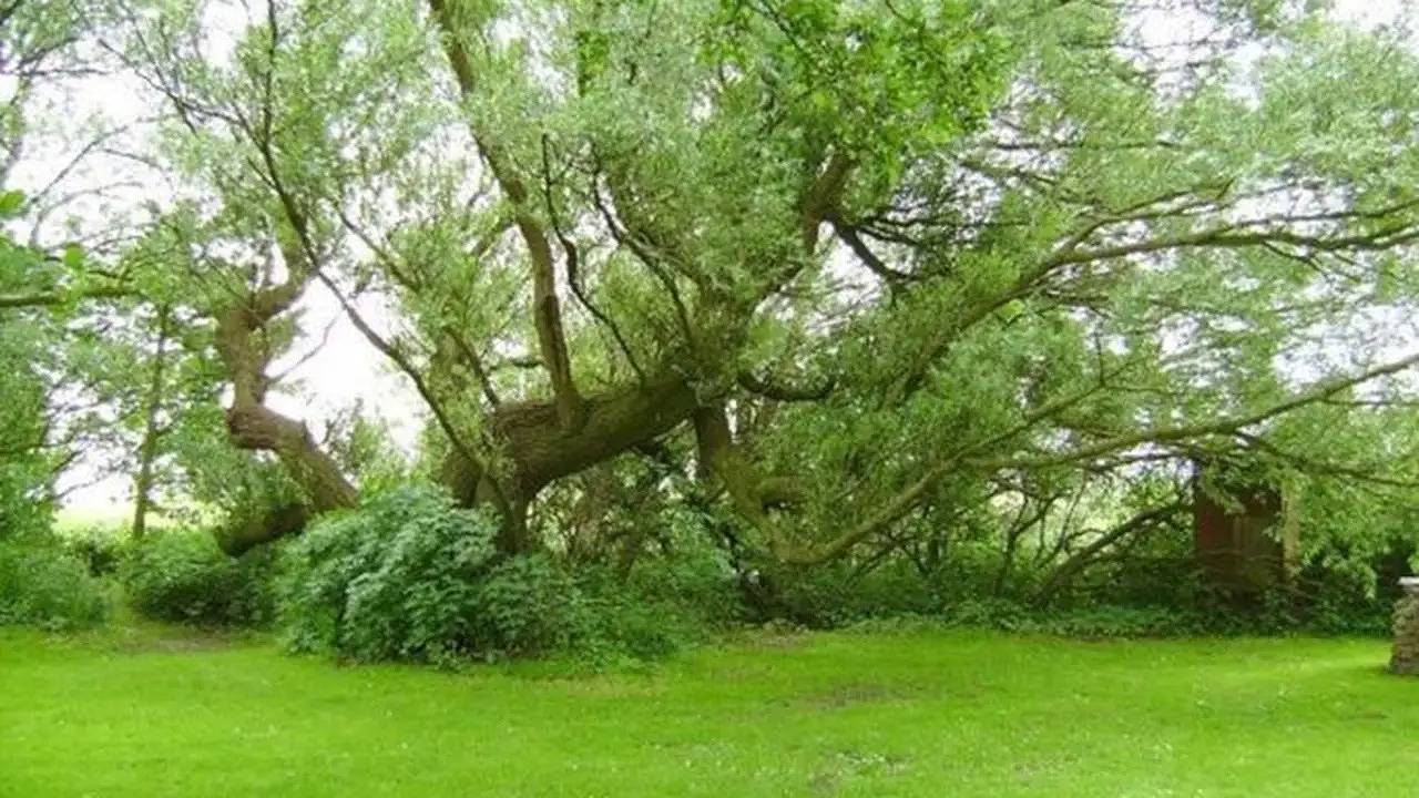 Einzelzimmer für 1 Person in Friedrichskoog in Friedrichskoog, Dithmarschen