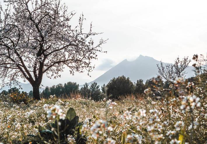 Casa de vacaciones para 7 personas, con piscina además de vistas y jardín, Se admiten mascotas en Jijona