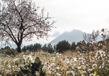view of accommodation