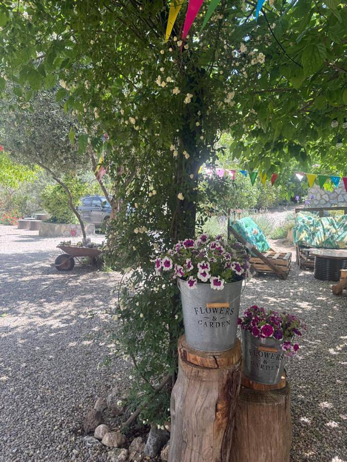 Casa rural para 14 personas, con jardín además de piscina y vistas, Se admiten mascotas en Vega de Granada - 2