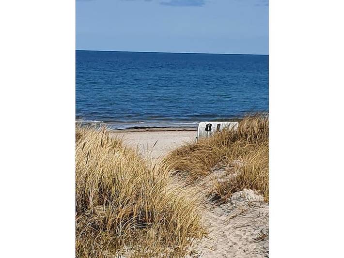 Ferienhaus für 4 Personen, mit Terrasse, mit Haustier in Hasselberg - 4