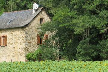 Gîte pour 5 personnes, avec jardin, animaux acceptés à Najac