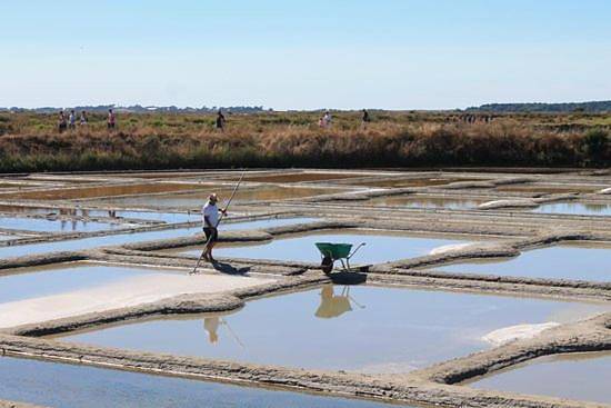 Gîte pour 7 personnes, avec terrasse à Saint-Malo-de-Guersac - 2