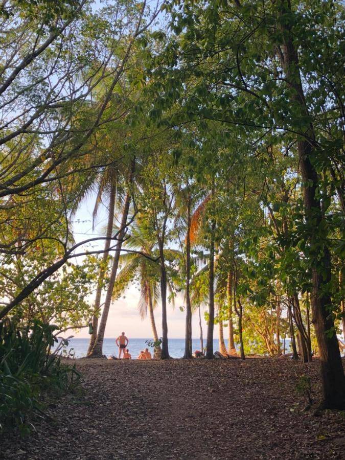 Gîte pour 4 personnes, avec vue et jardin dans Plage de Folle Anse - 3