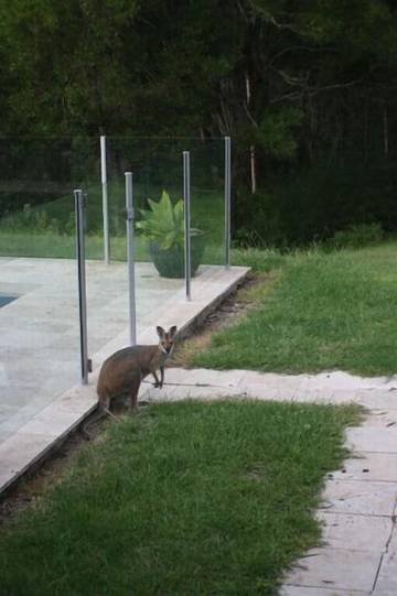Chalet für 14 Personen in New South Wales, Bild 4
