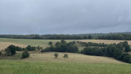 Ferienwohnung für 6 Personen in Sankt Wendel, St. Wendel & Umgebung, Bild 3