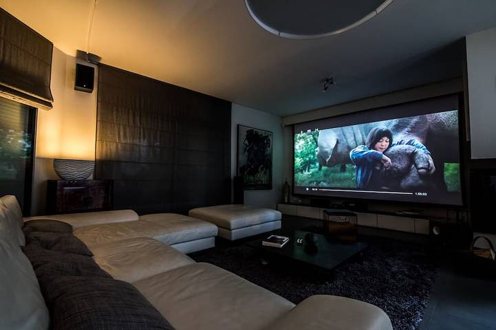 Location de vacances pour 6 personnes, avec jardin et jacuzzi à La Wantzenau - 4