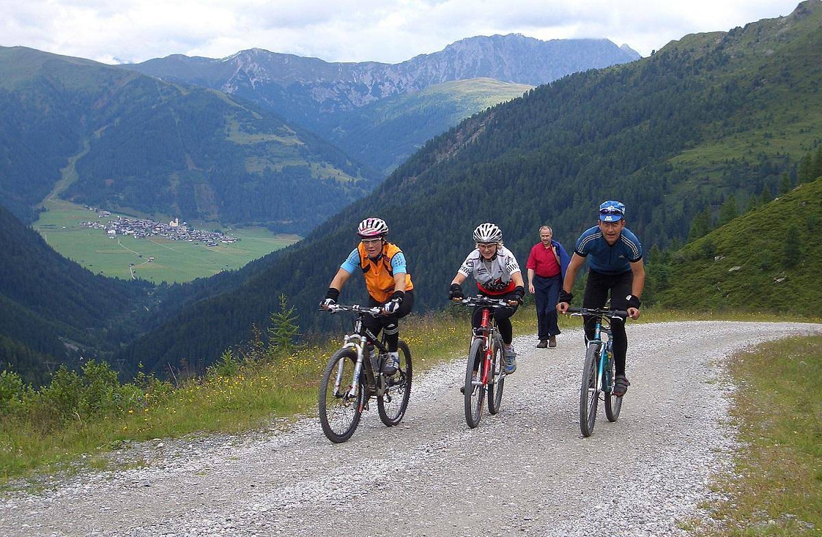 Ferienwohnung 1 - Süd in Gailtaler Alpen, Obertilliach