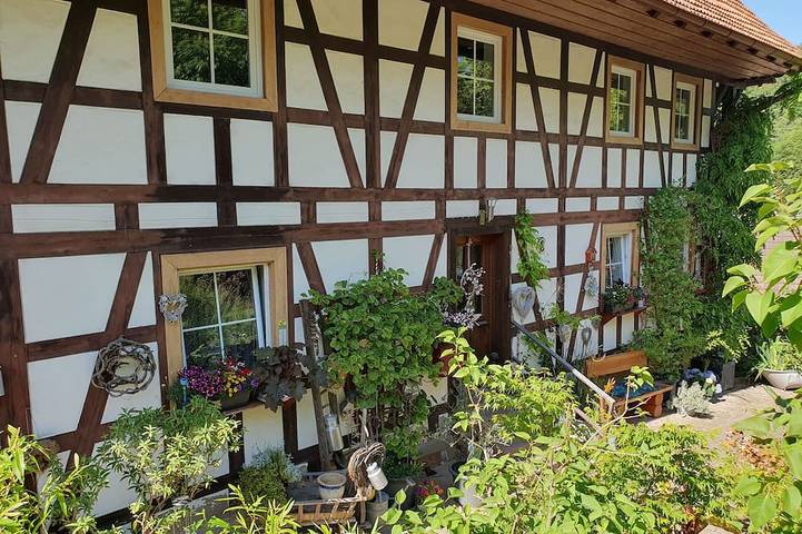 Ferienwohnung für 4 Personen in Ottenhöfen im Schwarzwald