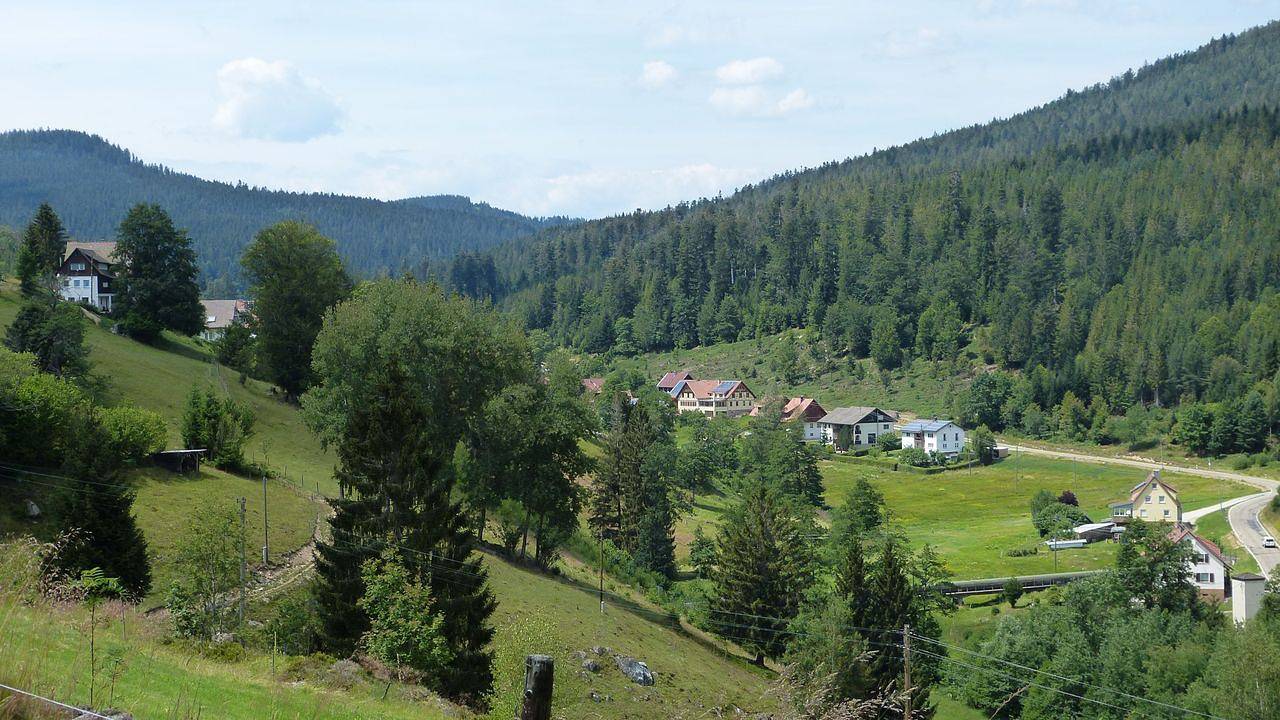 Ganze Ferienwohnung, Ferienwohnung für 4 Personen (59 m²) in Forbach in Hundsbach, Forbach