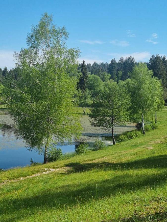 Location de vacances pour 2 personnes, avec jardin et vue à Bugeat - 2