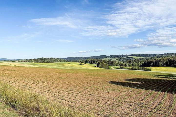 Villa für 3 Personen, mit Garten im Schwarzwald
