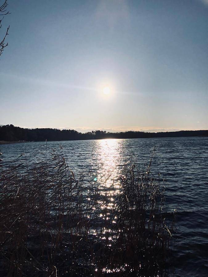 Ferienhaus für 6 Personen, mit Sauna und Terrasse sowie Ausblick, mit Haustier - 1