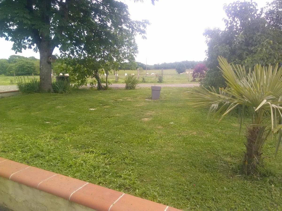 Five-Bedroom House in Montaigu-de-Quercy, Quercy