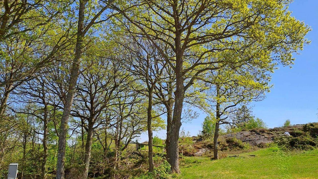 Ferienhaus für 5 Personen (100 m²) in Marstrand in Norra Västkusten