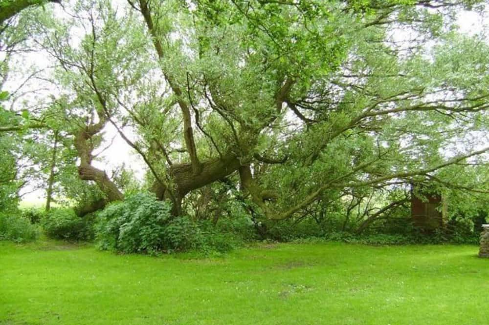 Zimmer 2 Dz - Pension Bed & Breakfast hinterm Nordseedeich in Friedrichskoog, Nordseeküste