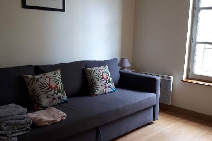 Appartement entier, Charmant studio dans l'hypercentre avec vue sur le château d'Amboise in Amboise, Région de Tours