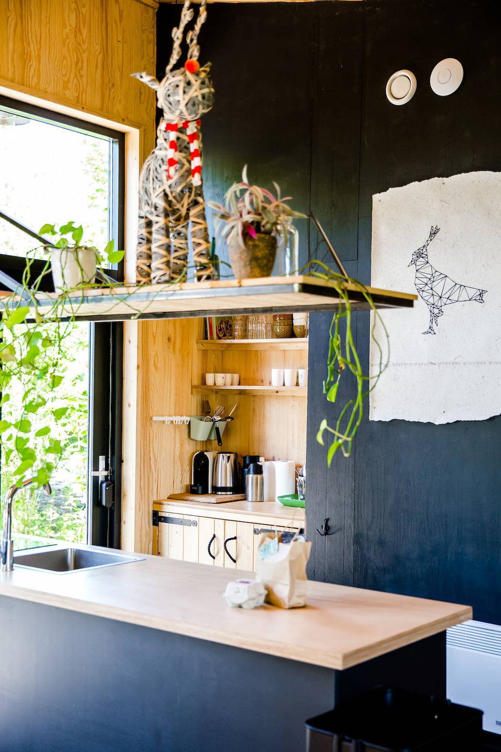 Pean-buiten — Waterlodge Ljip in Nationaal Park De Alde Feanen