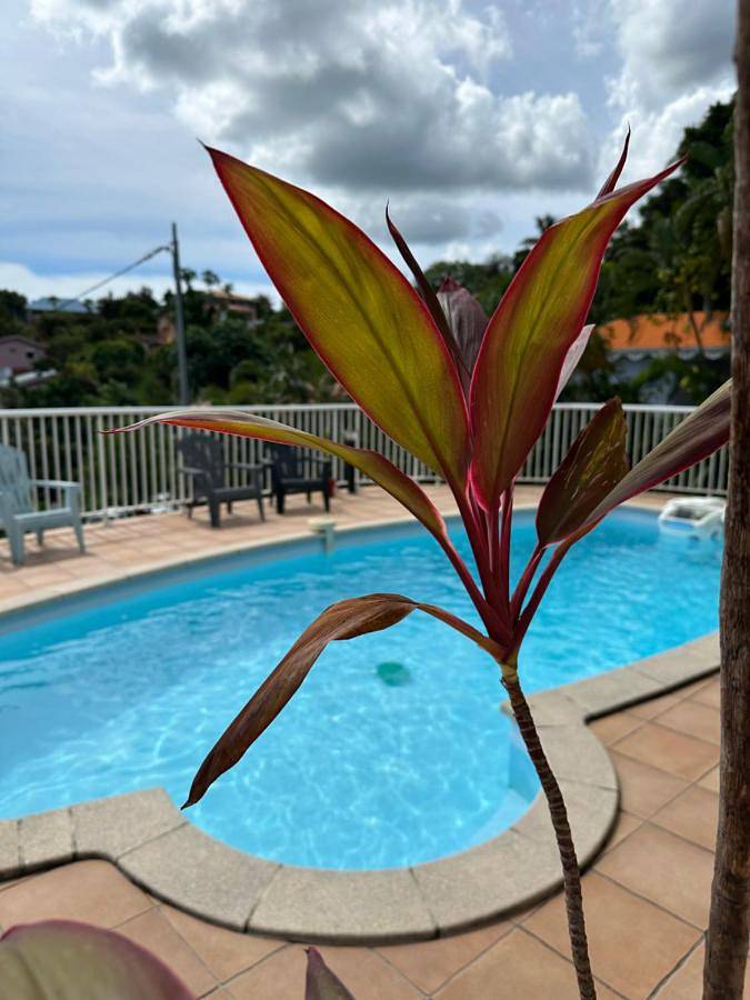 Maison de vacances pour 4 personnes, avec jardin et piscine ainsi que vue et terrasse