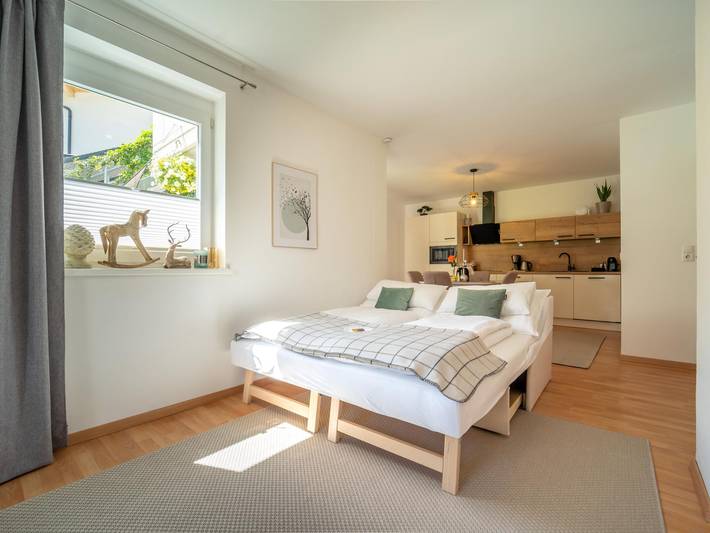 Ganze Wohnung, Wohnung mit privater Terrasse, Skibus vor der Tür in Sautens, Ötztal