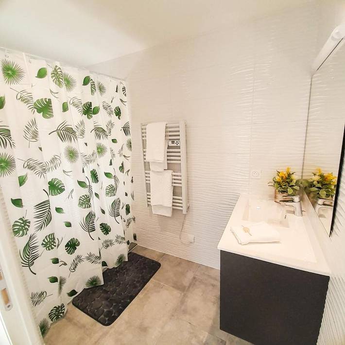 Gîte pour 12 personnes, avec jacuzzi et jardin à Marsolan - 3