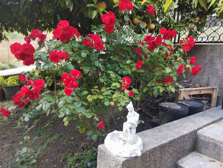 Gîte pour 6 personnes, avec balcon et jardin à Vence - 2