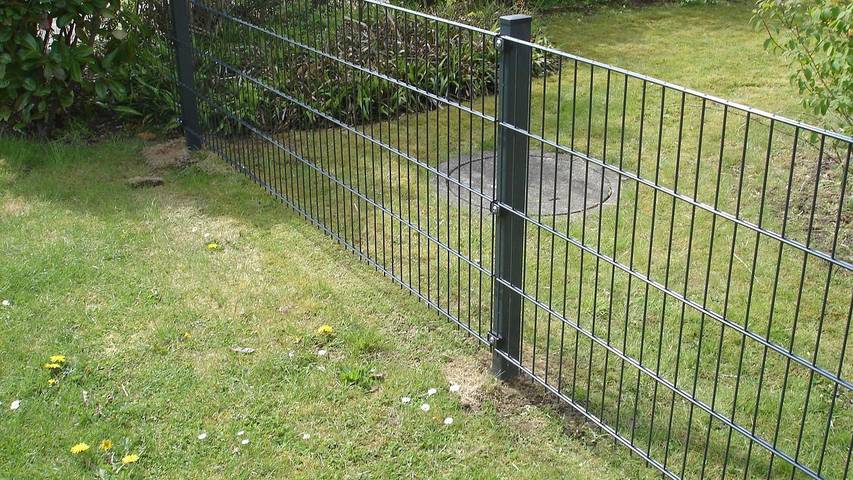 Ferienhaus für 5 Personen, mit Garten, mit Haustier in Damp - 4