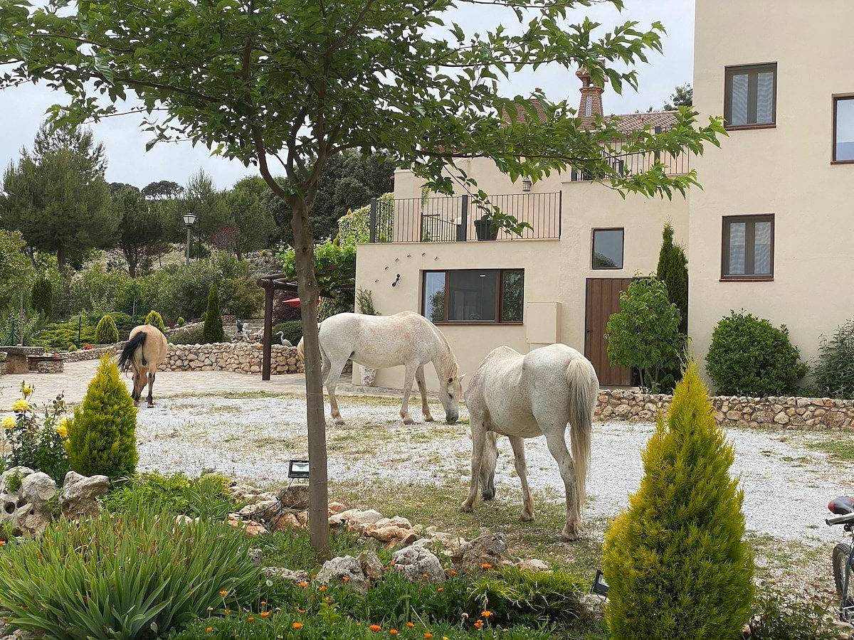 Landgut mit Bauernhof und Blick auf die Sierra Tejeda, Granada in Alhama de Granada, Granada Provinz