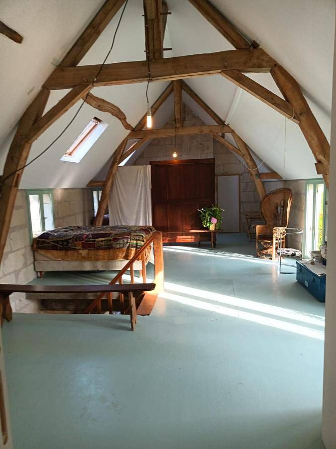 Maison de campagne pour 7 personnes, animaux acceptés à Rigny-Ussé - 4