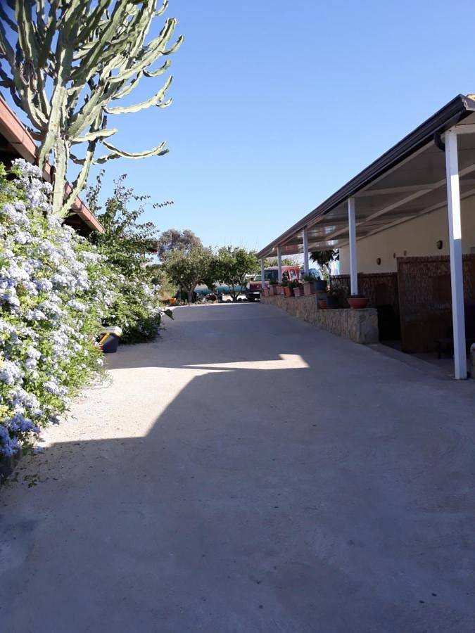 Gîte pour 2 personnes, avec jardin à Ustica - 3