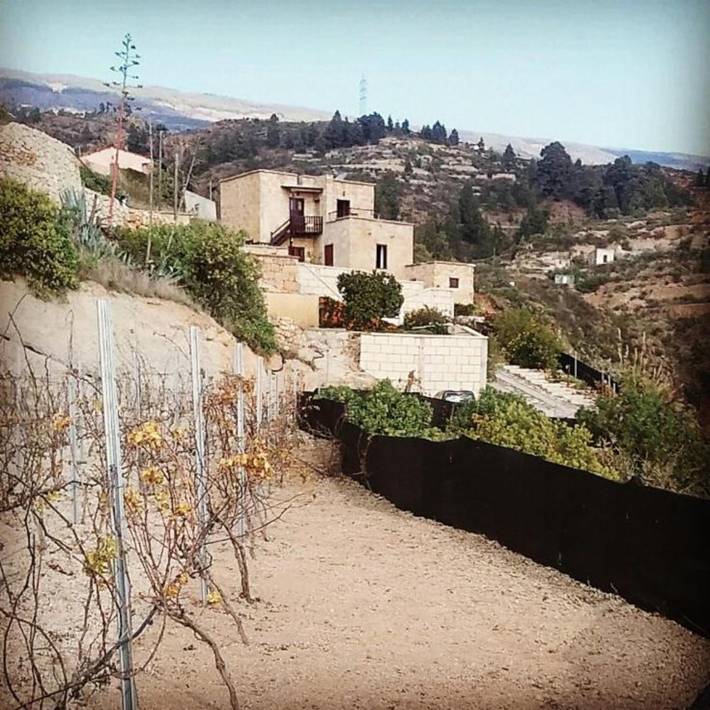 Finca für 4 Personen, mit Terrasse und Garten, mit Haustier in Arico