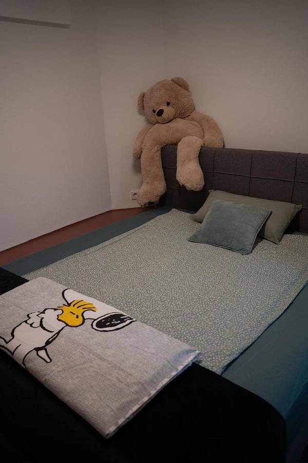 Ganze Wohnung, Kastanienallee 7 in Reeperbahn, Hamburg