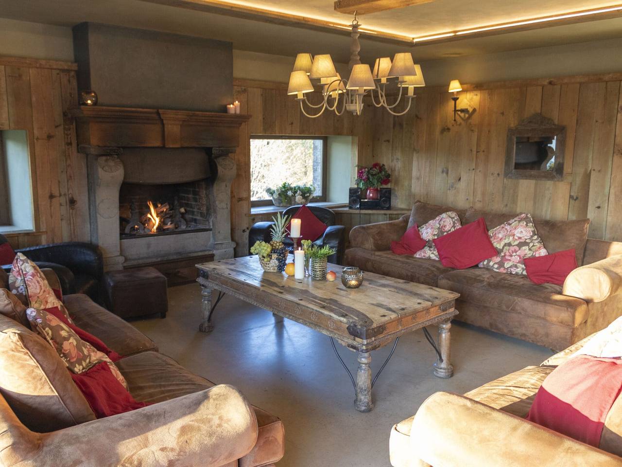 Séjour à Vielsalm avec des amis à quatre pattes in Vielsalm, Région de Bastogne