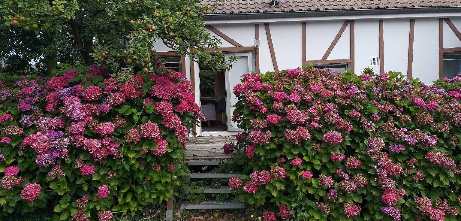 Chalet 'Bungalow Chouette' avec terrasse privée et jardin privé in Néville, Région de Dieppe