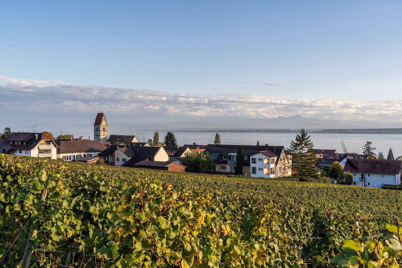 Zimmer '207' mit Gemeinschaftsgarten, Balkon und Wi-Fi in Hagnau am Bodensee, Region Bodensee-Oberschwaben