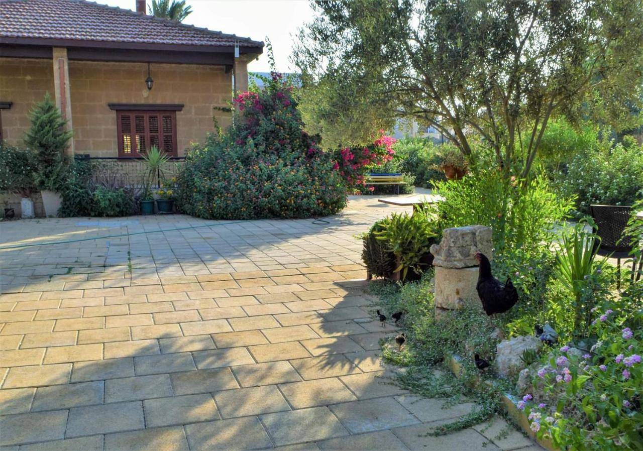 Golden Palms Guest House & Cafe in Famagusta, Nordzypern