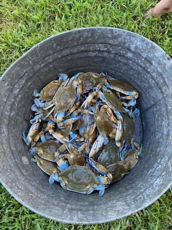 Schöne große Haus am Wasser in der Bucht mit beleuchteter Fishing Pier. in Grand Isle, Jefferson Parish