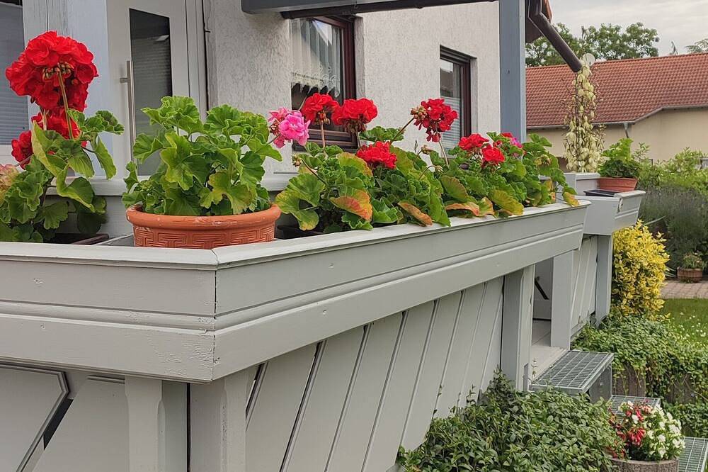 Appartamento intero, Schöne Wohnung Mitten in Rheinhessen in Sprendlingen, Rheinhessen e dintorni