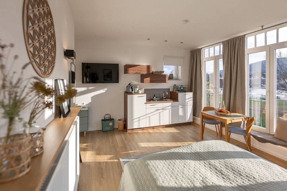 Ganze Wohnung, Modernes Apartment (32qm) mit voll ausgestatteter Küche und Xl-Dusche in Miltenberg, Spessart-Mainland